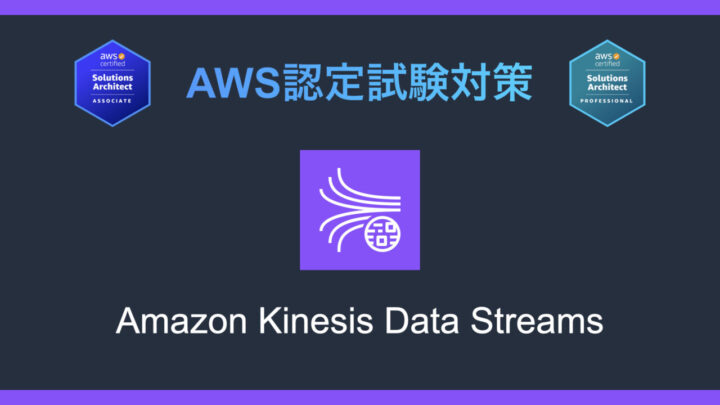 Amazon Kinesis Data Streamsとは?AWS認定試験対策