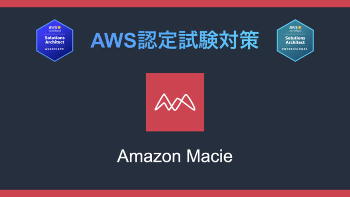 Amazon Macieとは？AWS認定試験対策